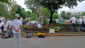 公園の魅力は