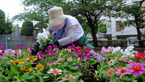 花から貰う