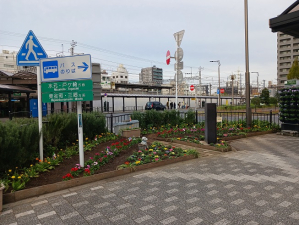 金町駅南口のバスロータリー♫