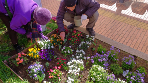 花柄摘みの作業に欠かせない