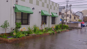 恵みの雨で