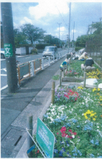 細田3丁目花をいっぱいにする会花壇