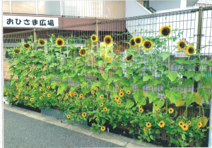 あおぞら水元保育園（あおぞらっこ）花壇