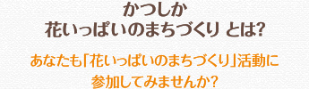 かつしか花いっぱいのまちづくりとは？あなたも、花いっぱいのまちづくりに参加しませんか